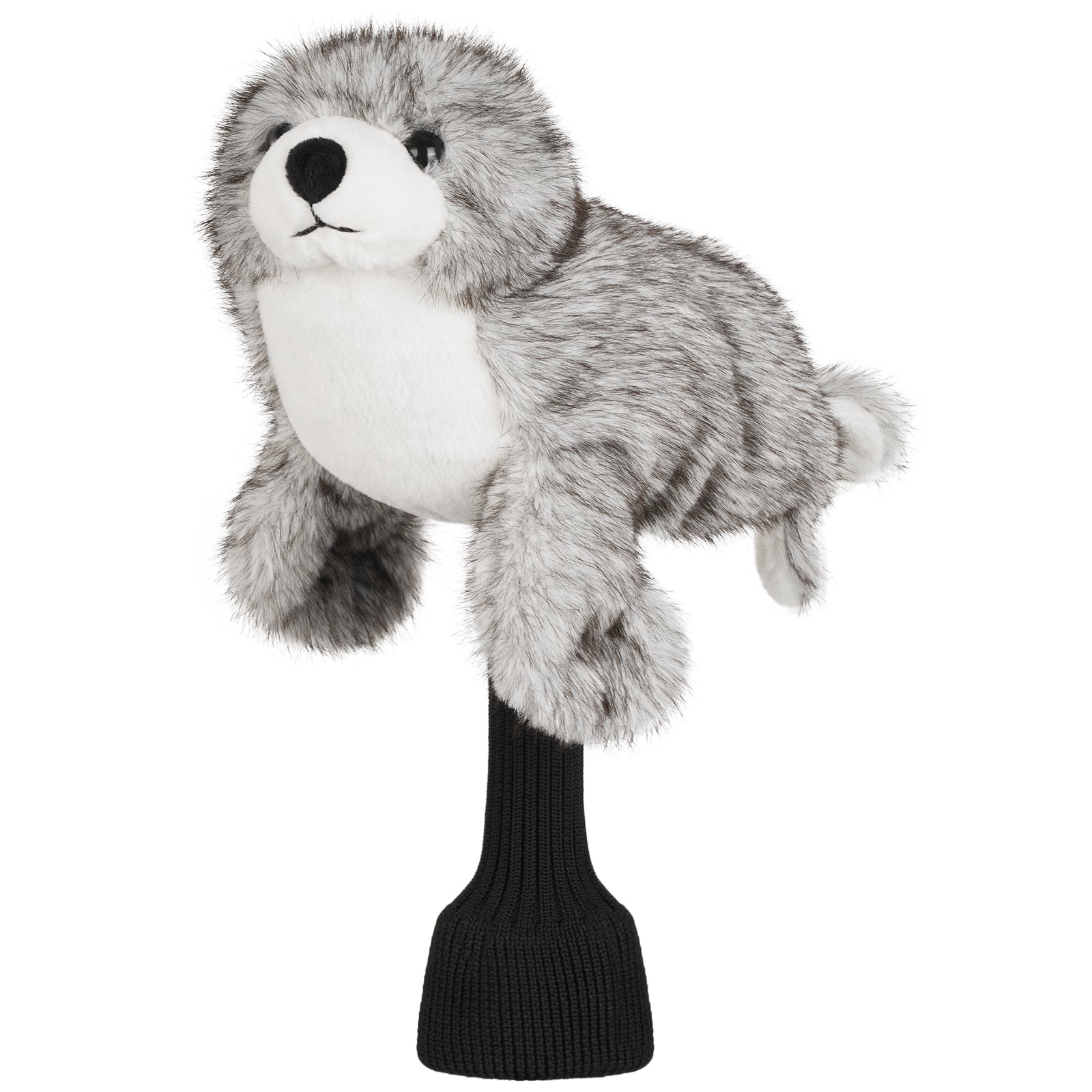 Seal Animal