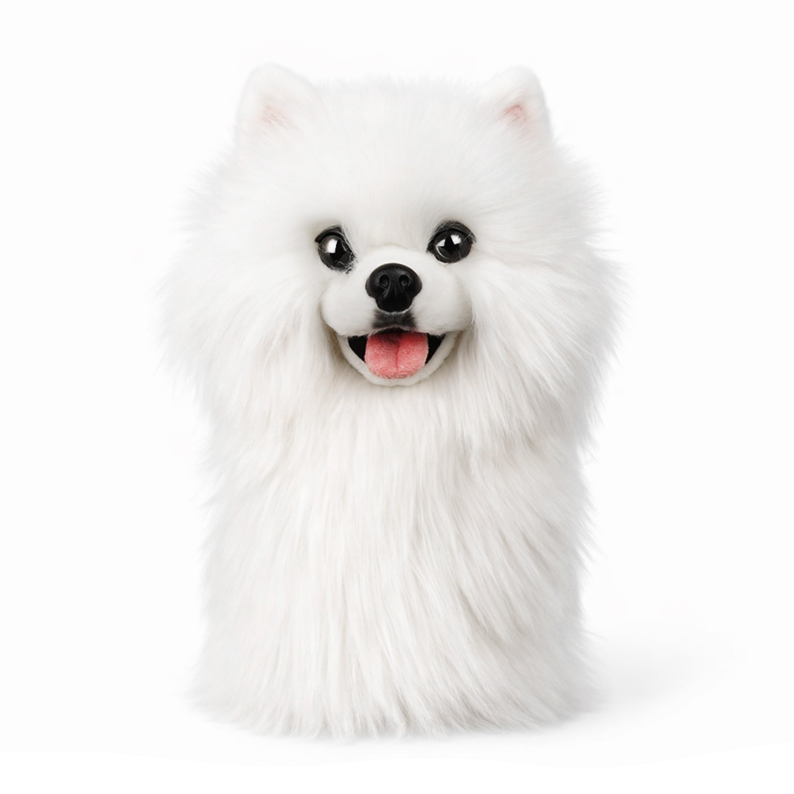 Craftsman Golf Pomeranian