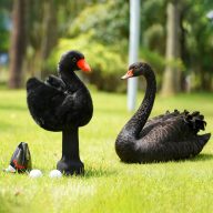 Craftsman Golf Swan — Black, view 5 of 6