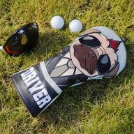 Craftsman Golf Sunglasses Dog — Silver, view 5 of 6