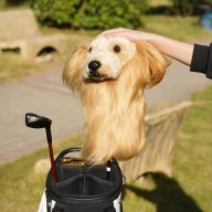 Craftsman Golf Realistic Golden Retriever, view 3 of 8