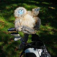 Craftsman Golf Realistic Golden Snub-nosed Monkey, view 17 of 22