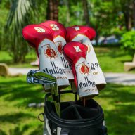 Craftsman Golf Marlboro, view 9 of 9
