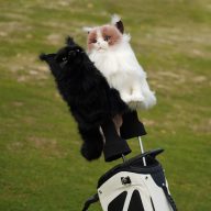 Craftsman Golf Emulation Black Cat with Beard, view 4 of 5