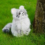 Craftsman Golf Realistic Maine Coon Cat, view 2 of 5