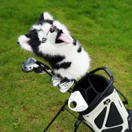 Craftsman Golf Realistic Husky, view 2 of 5