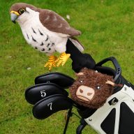 Craftsman Golf Falcon, view 2 of 5