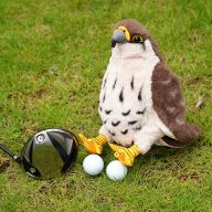 Craftsman Golf Falcon, view 5 of 5