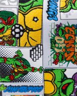 Pins and Aces TMNT - Comics, view 21 of 33