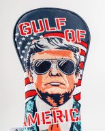 Pins and Aces Trump - Gulf of America, view 23 of 71