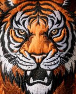 Pins and Aces Tiger, view 24 of 45