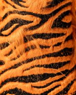 Pins and Aces Tiger, view 34 of 45