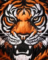 Pins and Aces Tiger, view 40 of 45