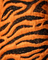 Pins and Aces Tiger, view 7 of 10