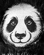 Pins and Aces Panda, view 4 of 7