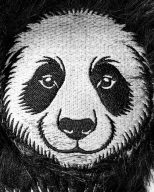 Pins and Aces Panda, view 7 of 7
