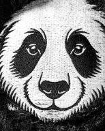 Pins and Aces Panda, view 4 of 8