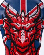 Pins and Aces Dragon, view 8 of 9