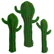 Sunfish Cactus, view 1 of 6