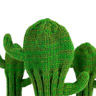 Sunfish Cactus, view 2 of 6