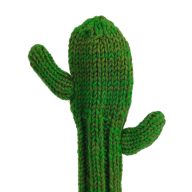 Sunfish Cactus, view 3 of 6