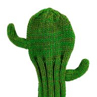 Sunfish Cactus, view 4 of 6