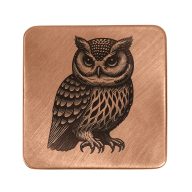 Sunfish Owl Embossed Ball Marker — Guitar Pick, view 3 of 4
