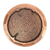 Sunfish Tree Rings Embossed Ball Marker — Guitar Pick, view 1 of 4