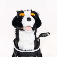 Daphne's Headcovers Bernese Mountain Dog, view 1 of 5