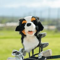 Daphne's Headcovers Bernese Mountain Dog, view 2 of 5