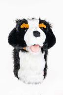 Daphne's Headcovers Bernese Mountain Dog, view 5 of 5