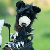 Daphne's Headcovers Black Bear, view 2 of 3