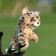 Daphne's Headcovers Bobcat, view 2 of 3