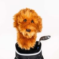 Daphne's Headcovers Doodle, view 1 of 4