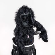 Daphne's Headcovers Gorilla, view 1 of 2