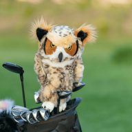Daphne's Headcovers Owl, view 2 of 6