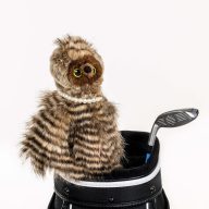 Daphne's Headcovers Owl, view 5 of 6
