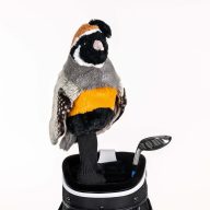 Daphne's Headcovers Quail, view 1 of 2