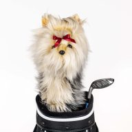 Daphne's Headcovers Yorkshire Terrier, view 1 of 2