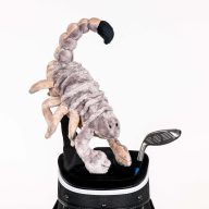 Daphne's Headcovers Scorpion, view 1 of 2