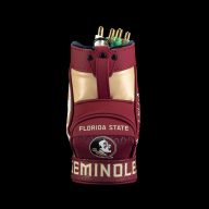 Swag Golf Florida State University Seminoles Desk Caddy, view 2 of 3