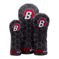 Bettinardi International Motor Speedway, view 2 of 2